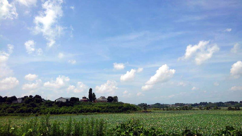 登米の風景　長沼　宮城県