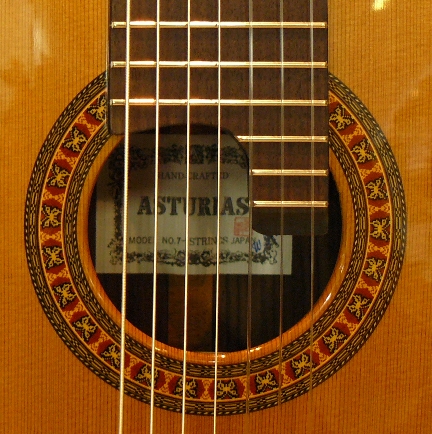 7弦ギター ASTURIAS 7-STRINGS 物凄 7弦ギター ASTURIAS 7-STRINGS 物凄