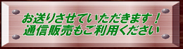 教室　ギター　販売　調整　修理　中央線　西荻窪