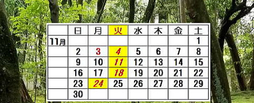 ギター弾き語り　体験レッスン　マンツーマン　無料　杉並区　西荻窪　ギター教室　アコギ　フォーク　ウクレレ　吉祥寺